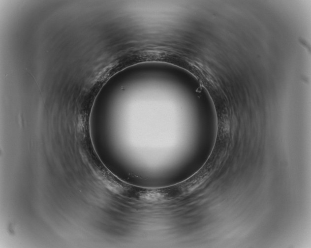 X0000095130759200712071308