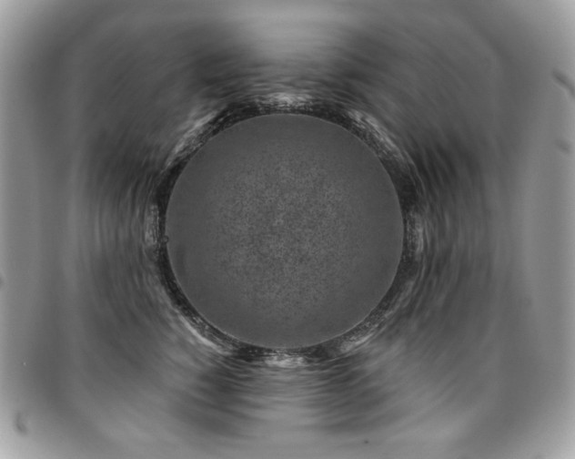 X0000095130760200712071308