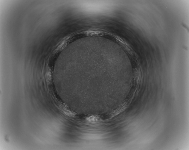 X0000095130761200712071308