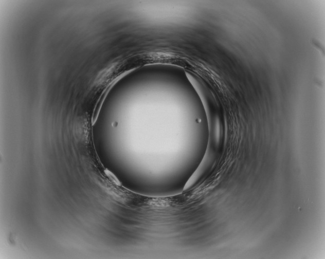 X0000095130762200712071308