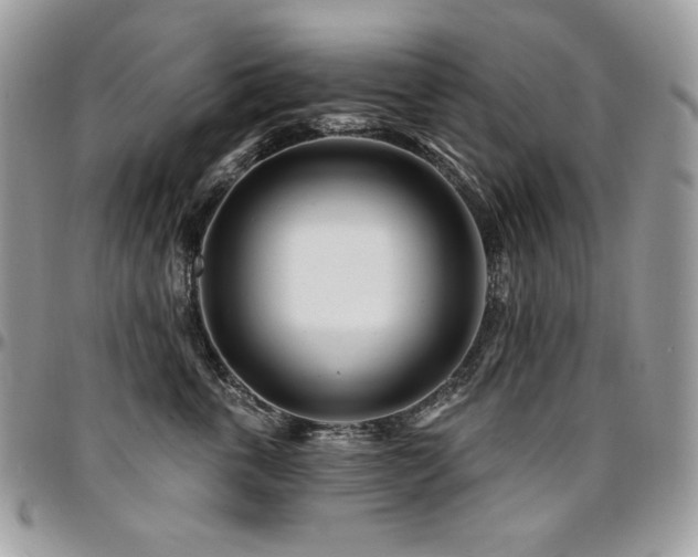 X0000095130763200712071308