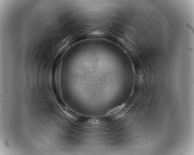 X0000095130764200712071308