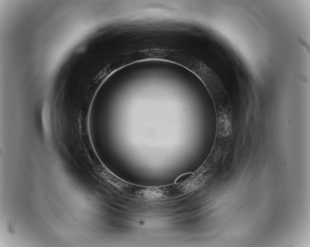 X0000095130765200712071308