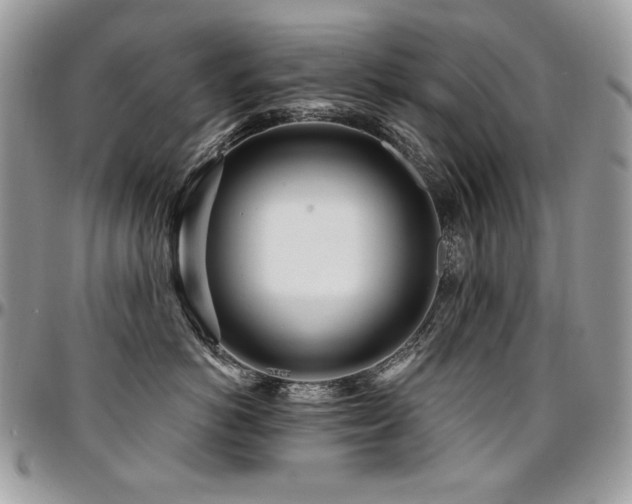 X0000095130766200712071308