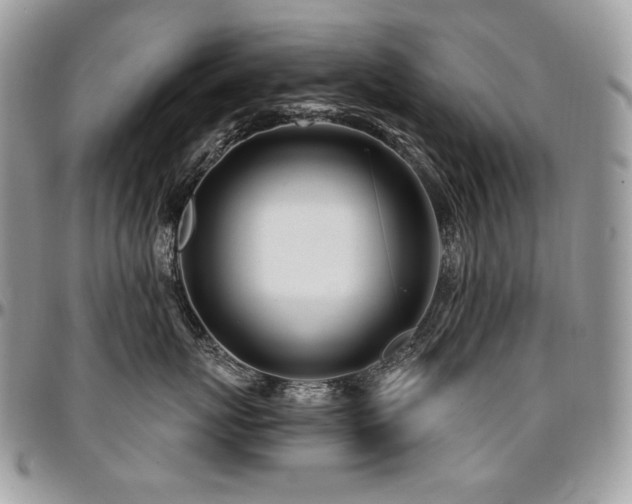 X0000095130767200712071308