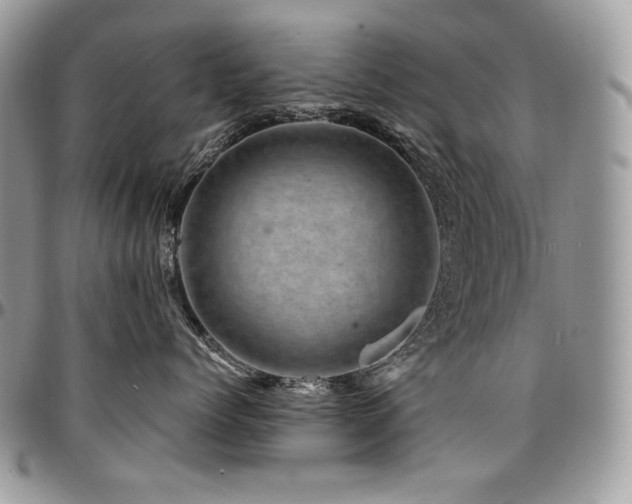 X0000095130768200712071308