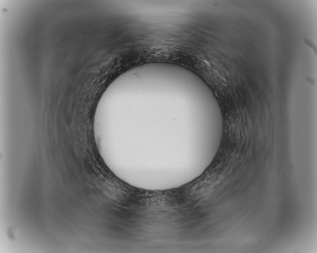 X0000095130769200712071307