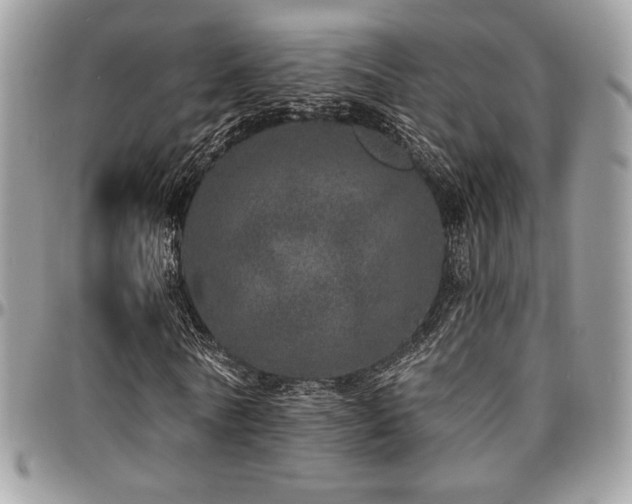 X0000095130770200712071307