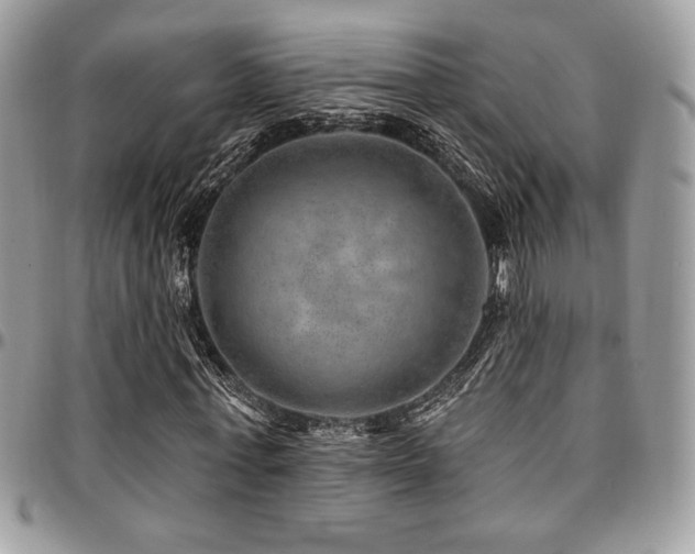 X0000095130771200712071307