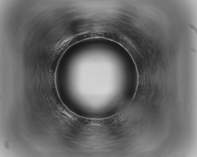 X0000095130773200712071307