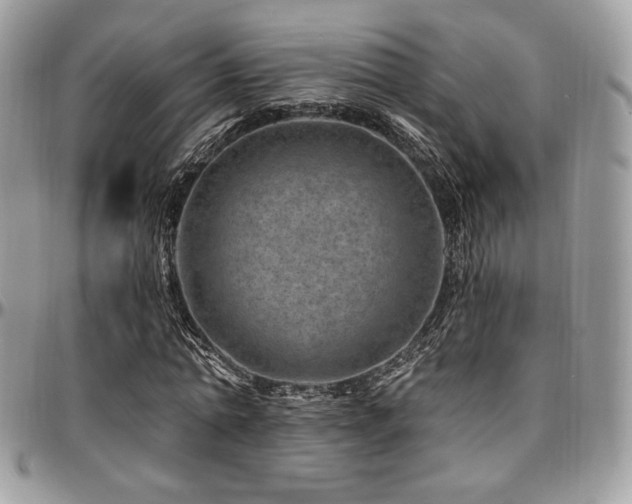 X0000095130774200712071307