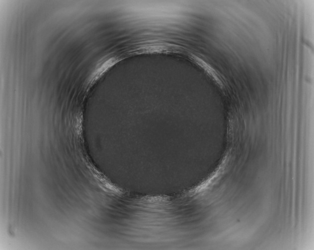 X0000095130778200712071307