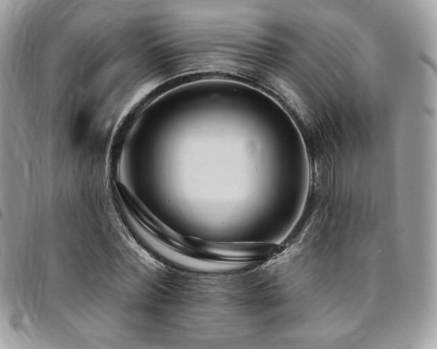 X0000095130780200712071307