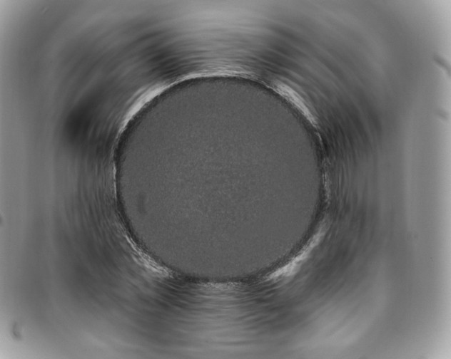 X0000095130781200712071307