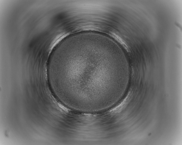 X0000095130782200712071307