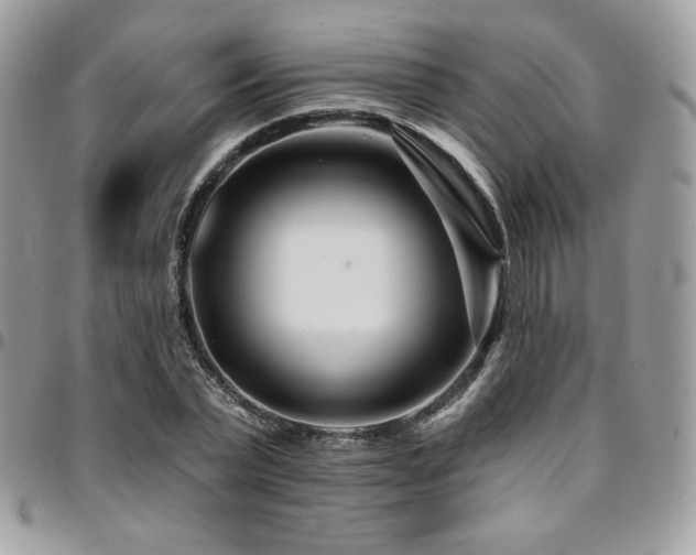 X0000095130783200712071307