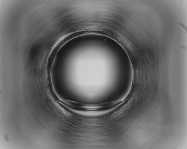 X0000095130784200712071307