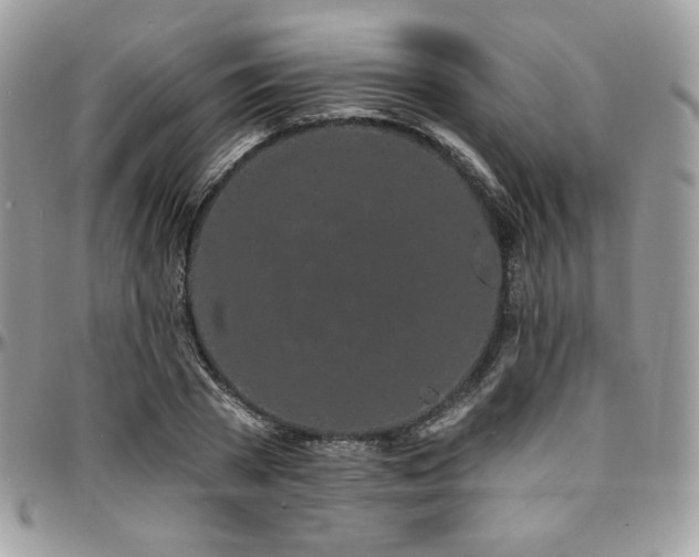 X0000095130785200712071307