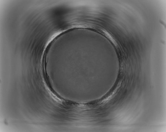 X0000095130787200712071307