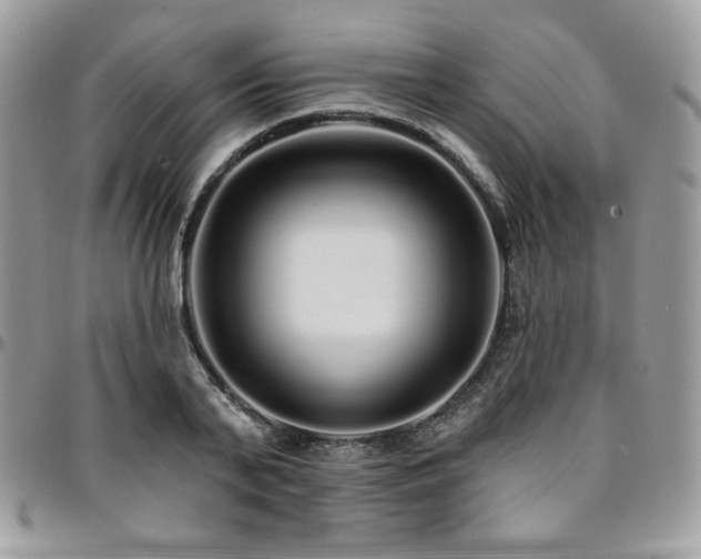 X0000095130791200712071307