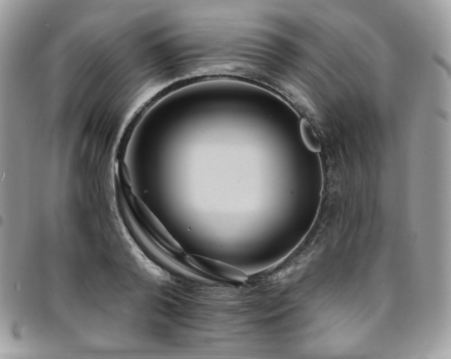 X0000095130792200712071307