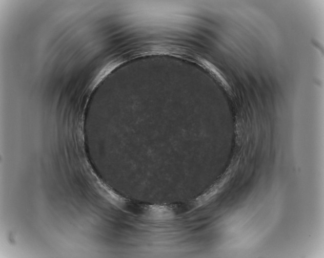 X0000095130794200712071307