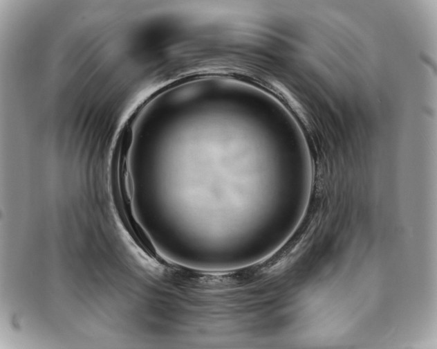 X0000095130795200712071307