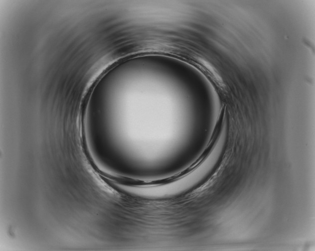 X0000095130796200712071307