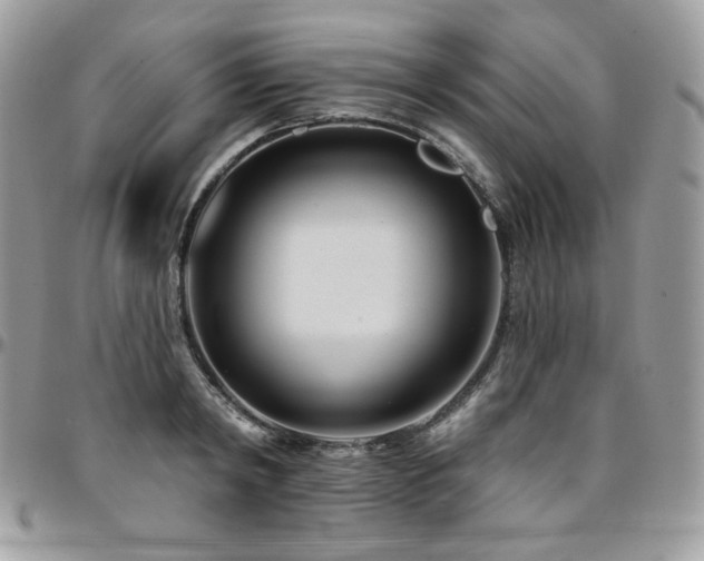 X0000095130798200712071307