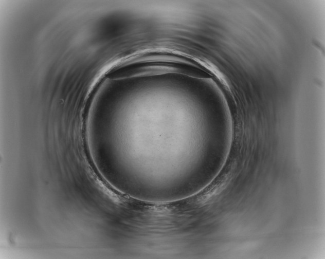 X0000095130799200712071307