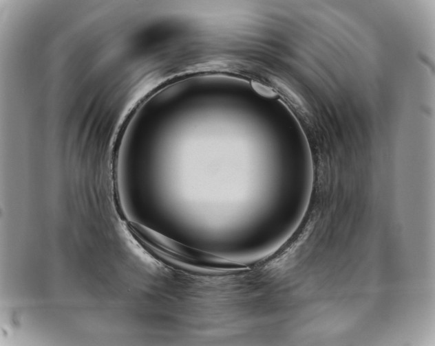 X0000095130800200712071307