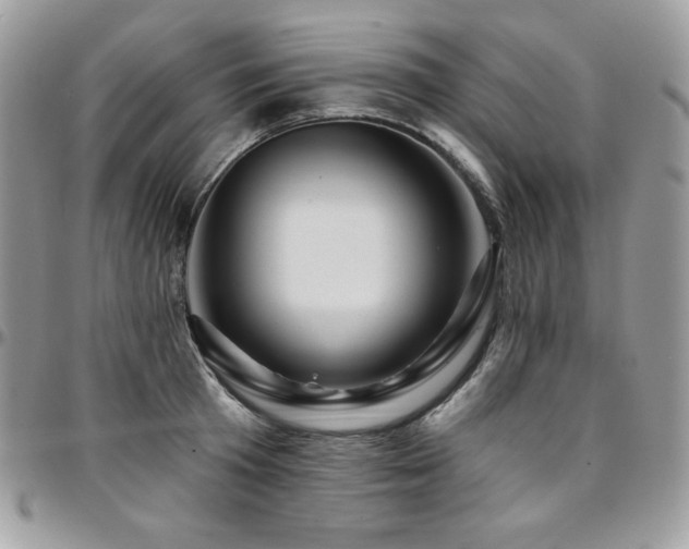 X0000095130801200712071307