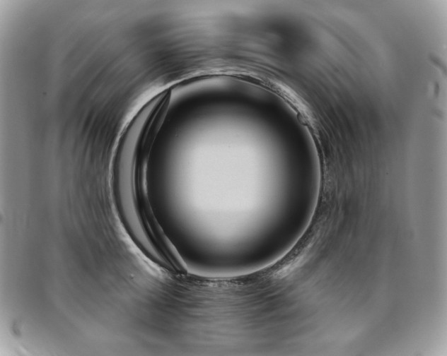 X0000095130803200712071307