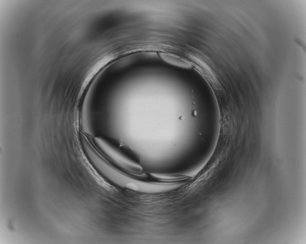 X0000095130804200712071307