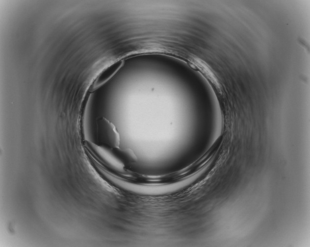 X0000095130805200712071307