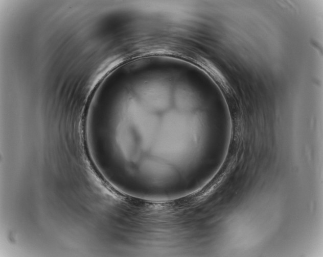 X0000095130806200712071307