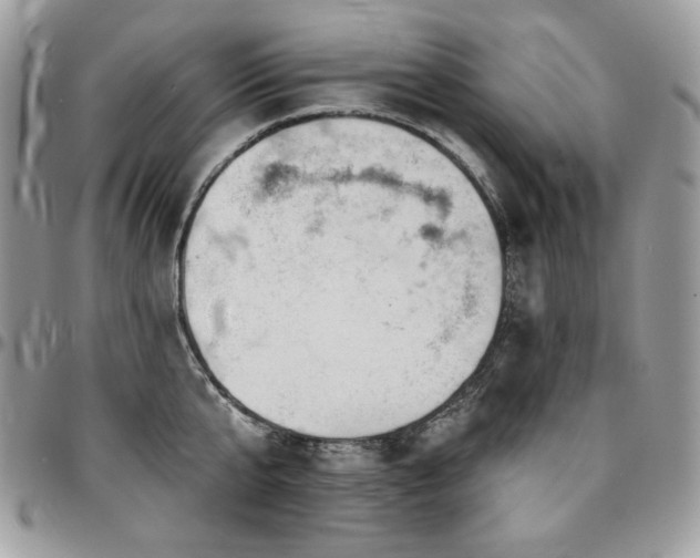 X0000095130807200712071307