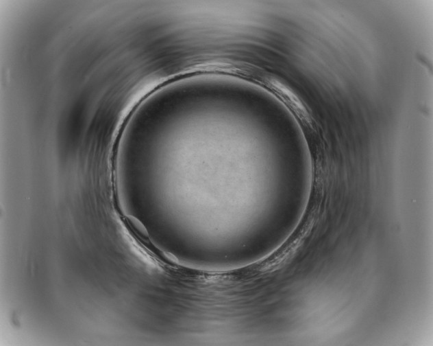 X0000095130808200712071307