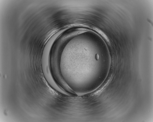 X0000095130809200712071307