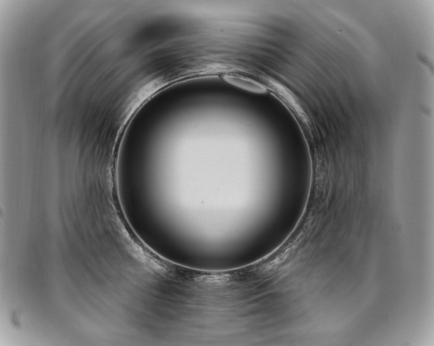 X0000095130810200712071306