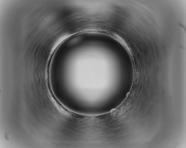 X0000095130811200712071306