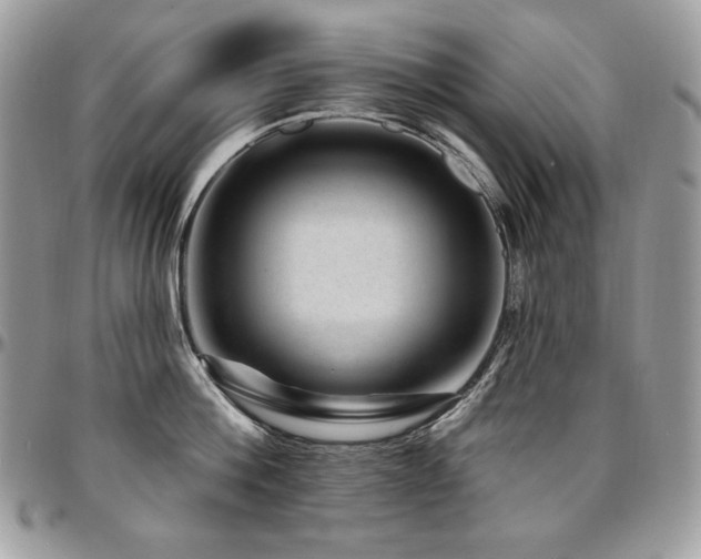 X0000095130812200712071306