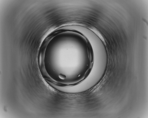 X0000095130813200712071306