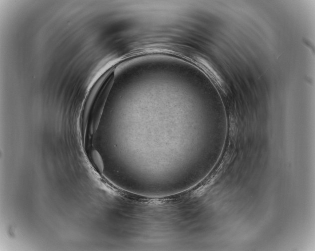 X0000095130814200712071306