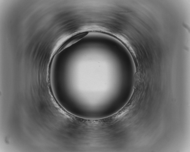 X0000095130815200712071306