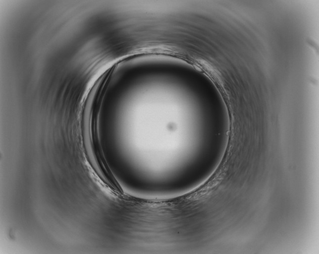 X0000095130816200712071306