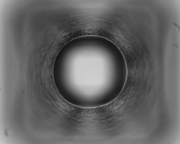 X0000095130817200712071306