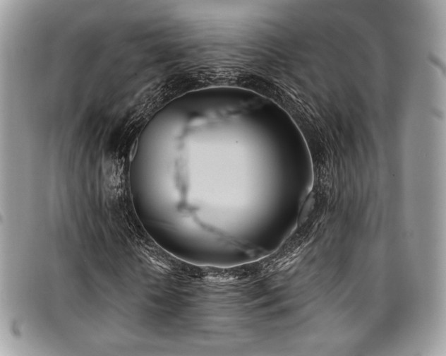 X0000095130818200712071306