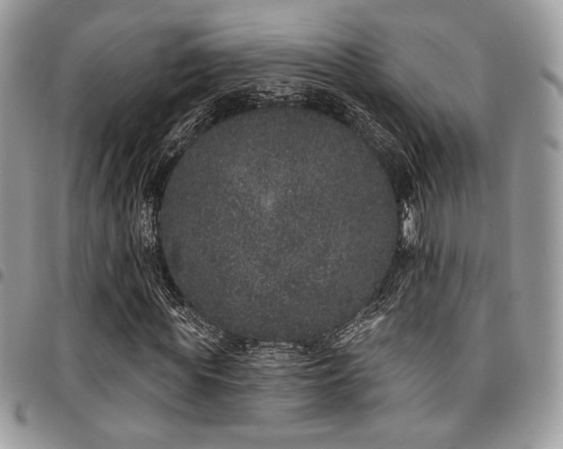 X0000095130819200712071306