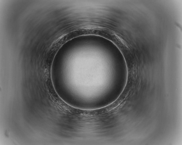 X0000095130821200712071306